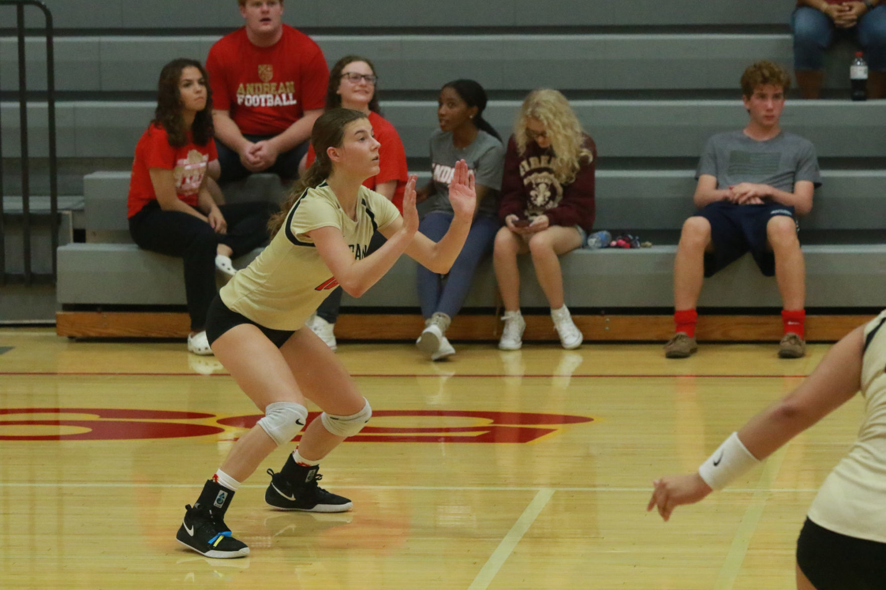 Gallery: Girls volleyball - Wheeler at Andrean